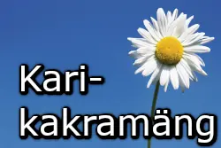 Karikakramäng
